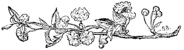 img46.jpg