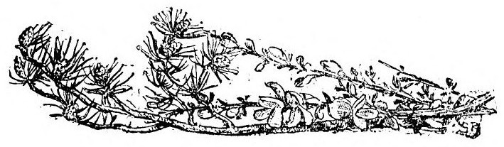 img48.jpg