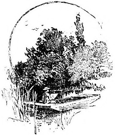 img5.jpg