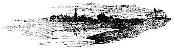 img6.jpg