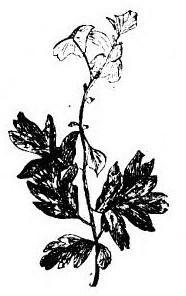 img7.jpg