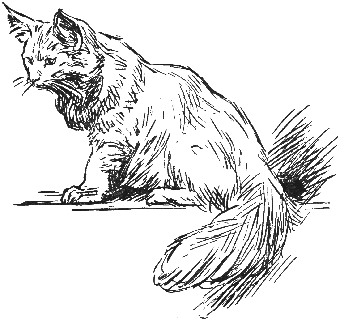 img13.png