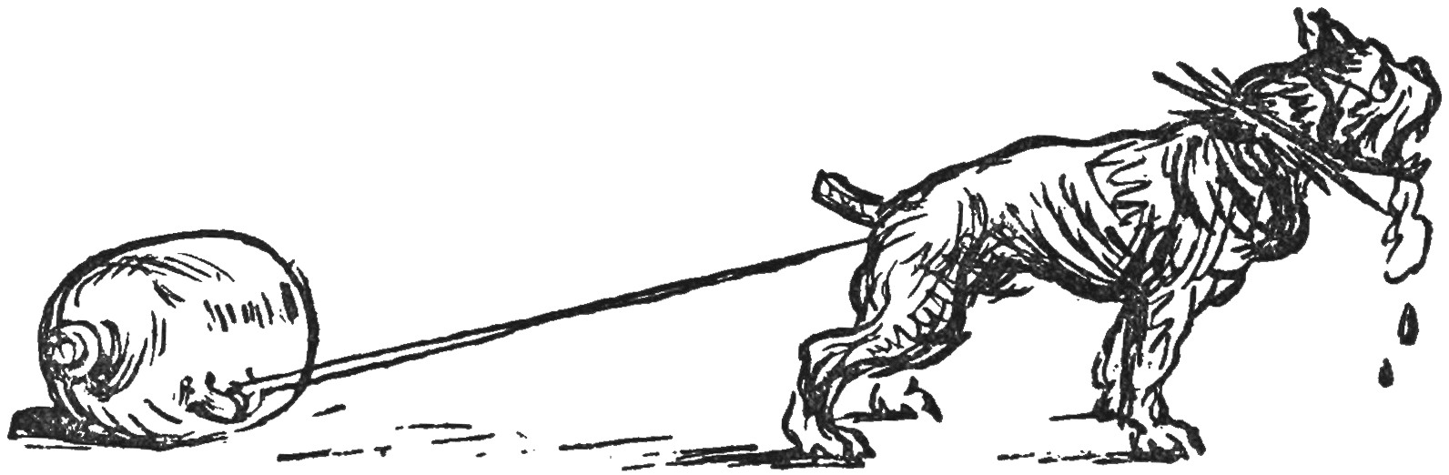 img17.png
