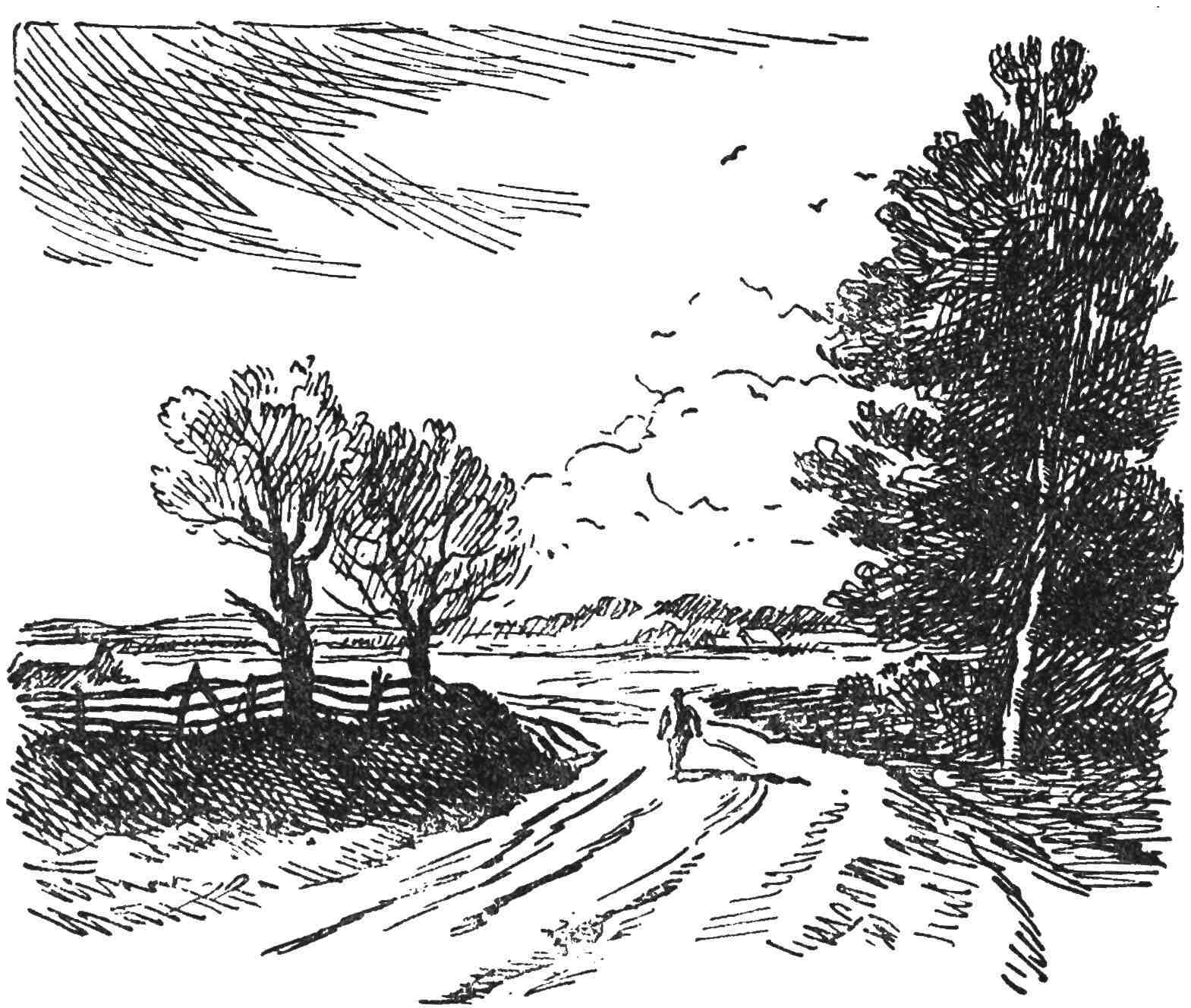 img28.jpg