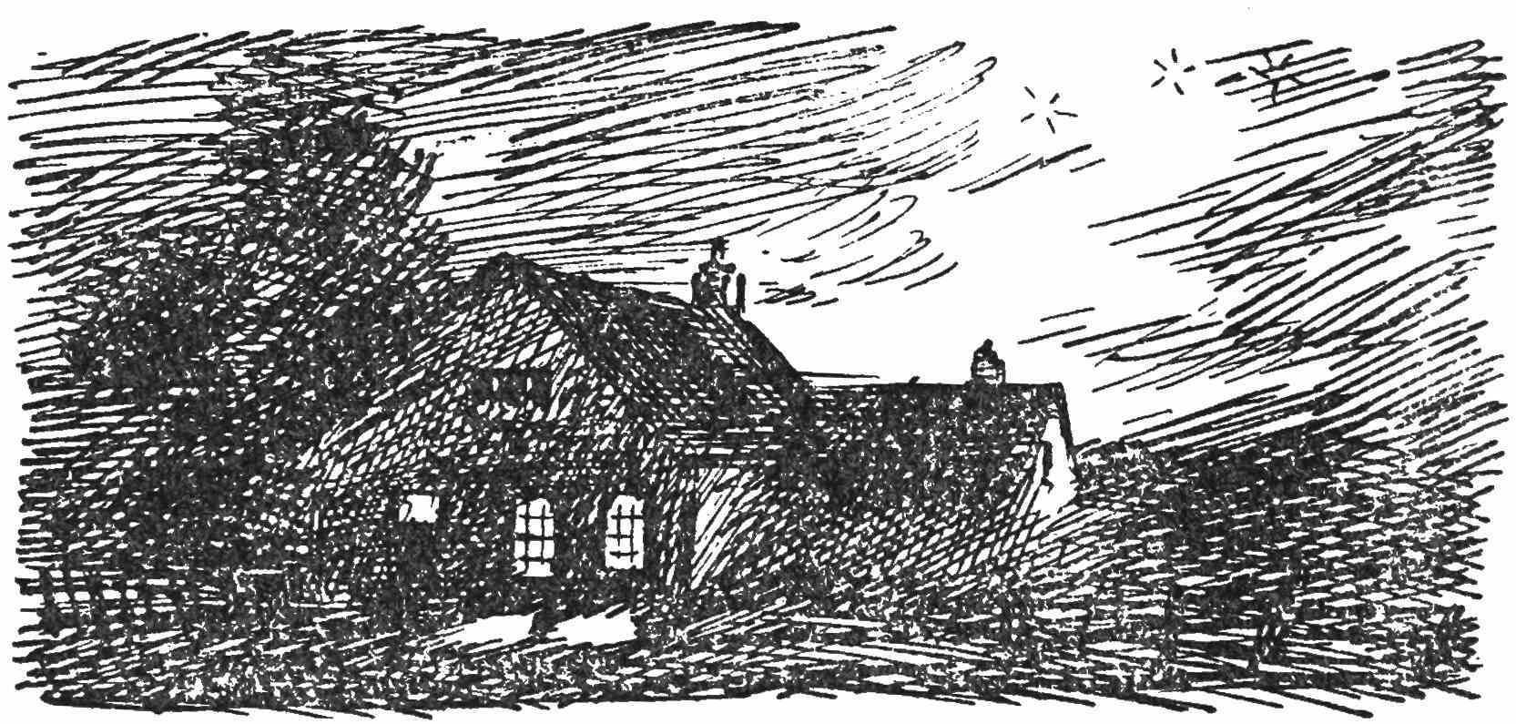 img34.jpg