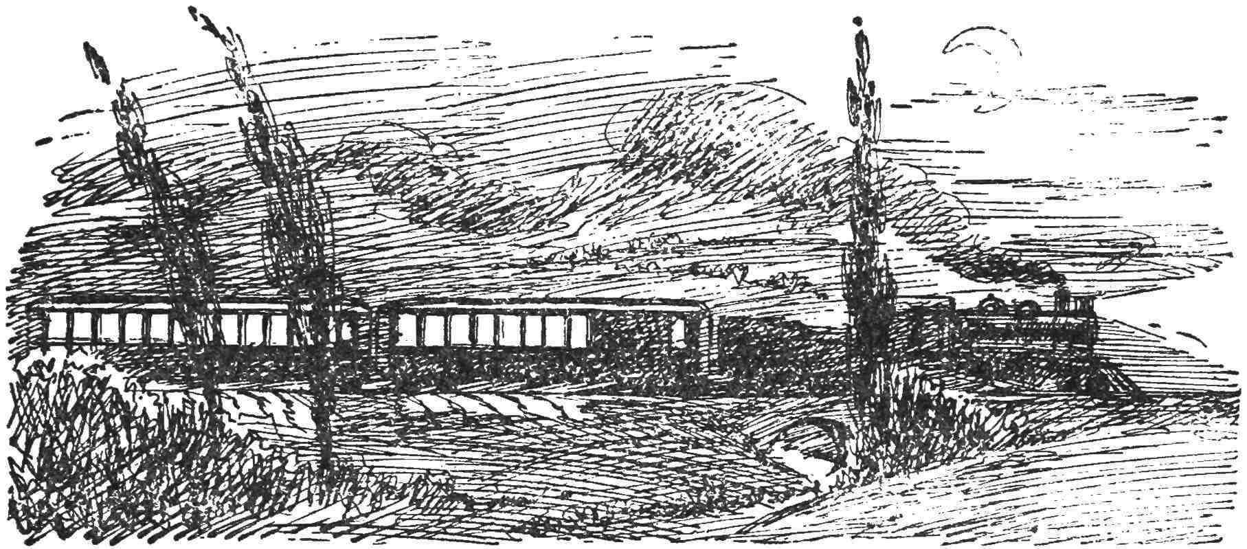 img43.jpg