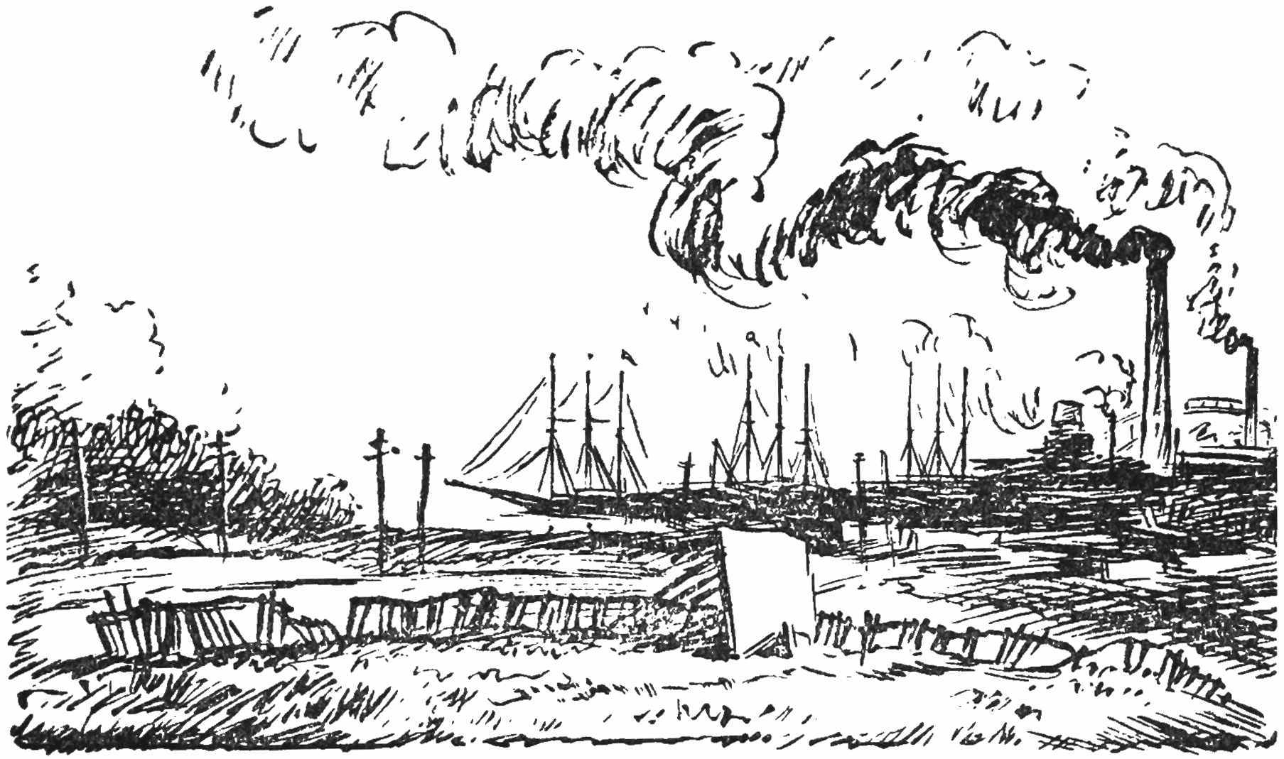 img9.jpg