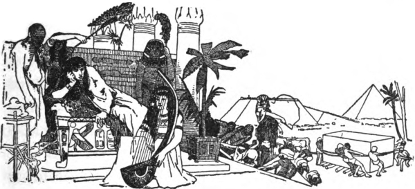 img11.jpg