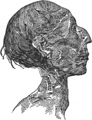 img16.jpg