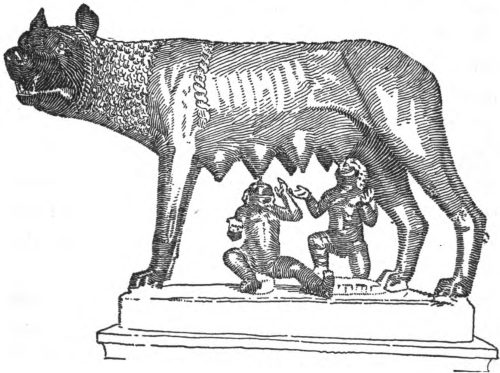 img24.jpg