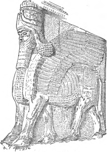 img25.jpg