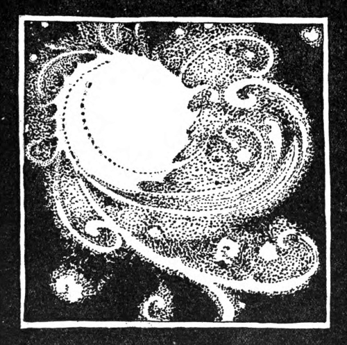 img3.jpg