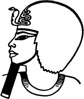 img6.jpg
