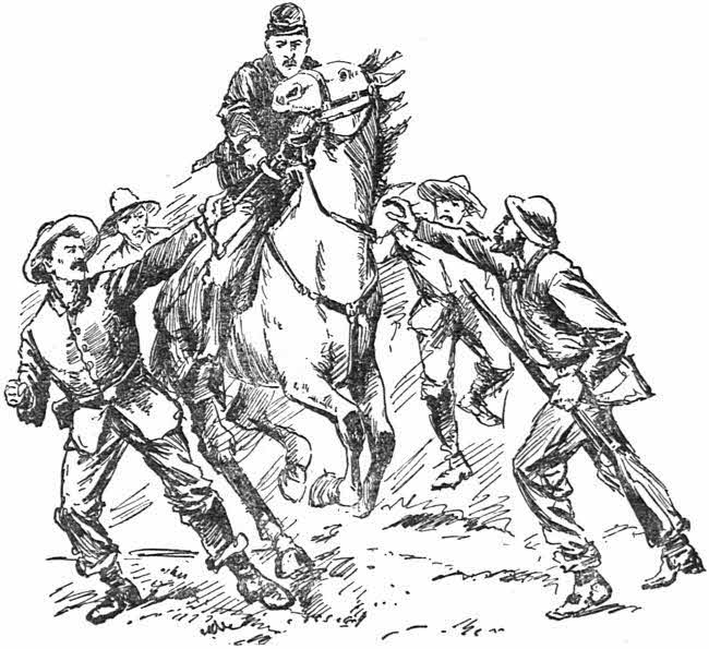 img1.jpg