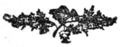 img10.jpg