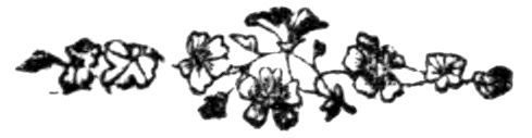 img8.jpg