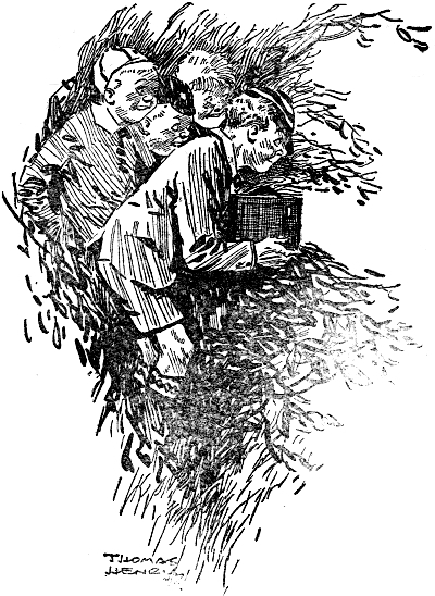 img13.jpg