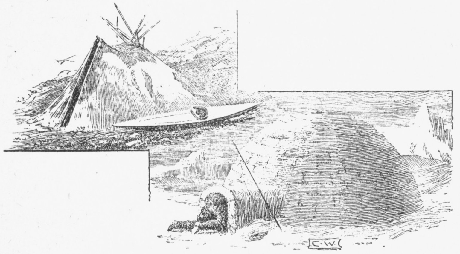 img10.jpg
