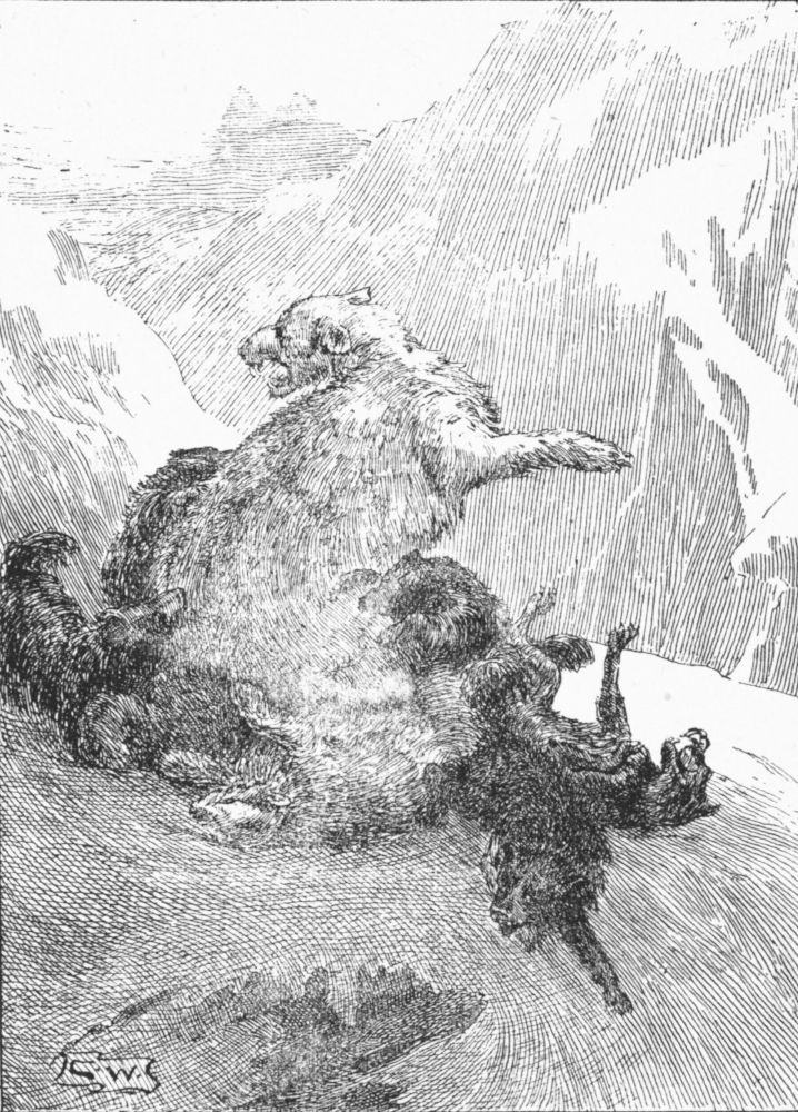 img12.jpg