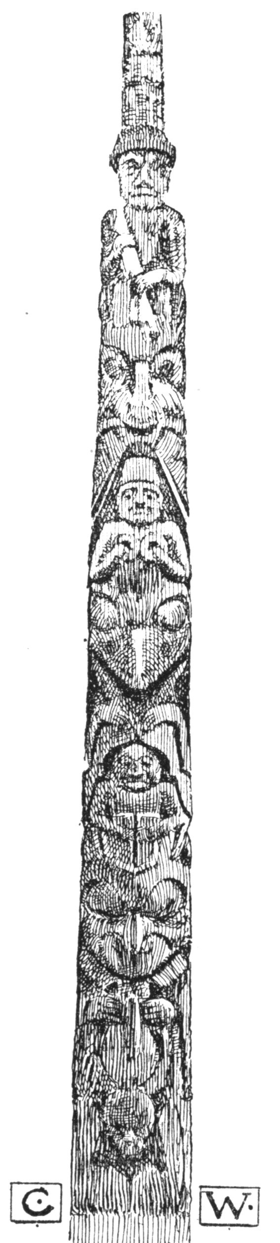 img6.jpg