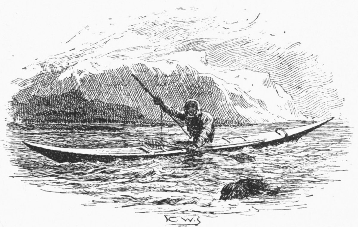 img9.jpg