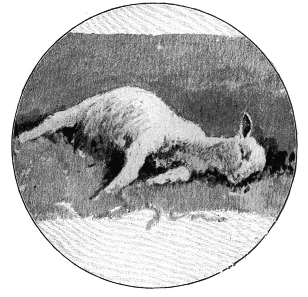 img2.jpg