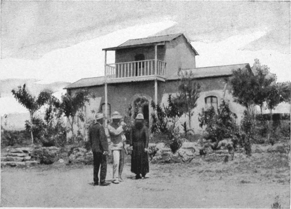 img10.jpg