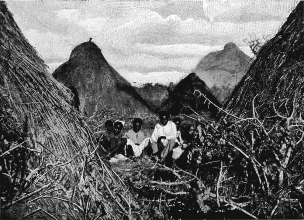 img19.jpg