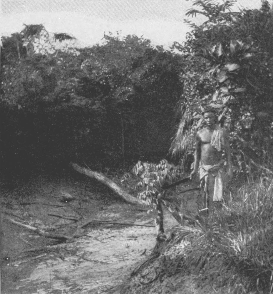 img3.jpg