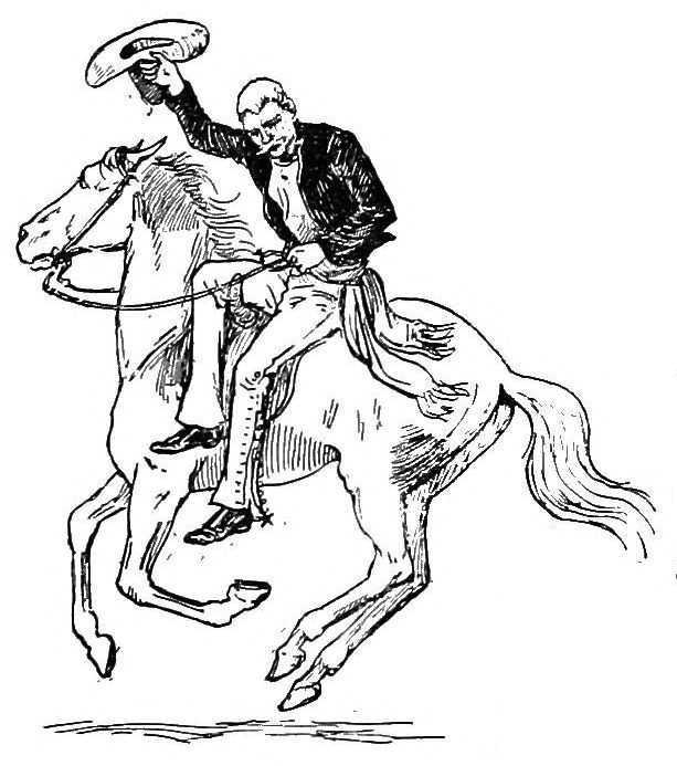 img16.jpg