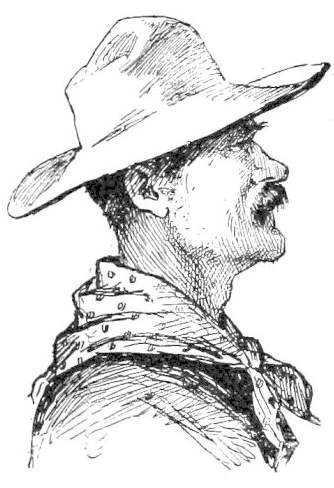 img3.jpg