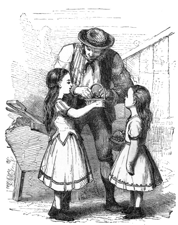 img12.jpg