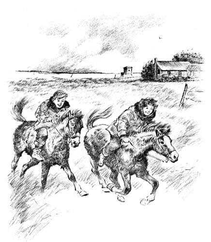img10.jpg