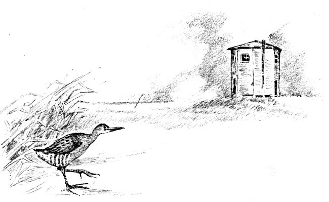 img11.jpg