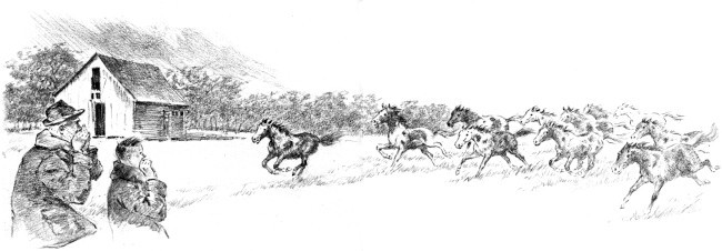 img12.jpg