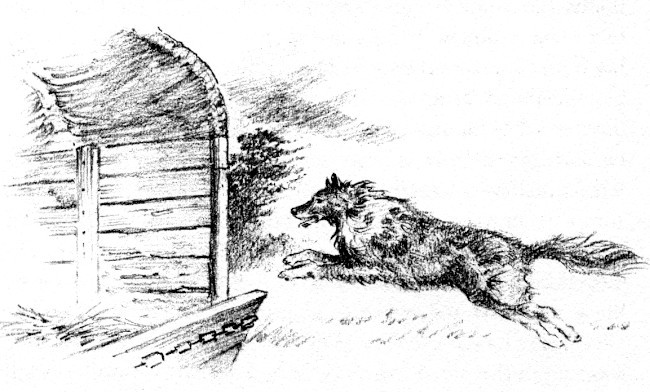 img13.jpg