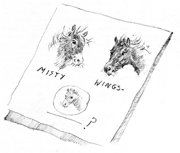 img14.jpg