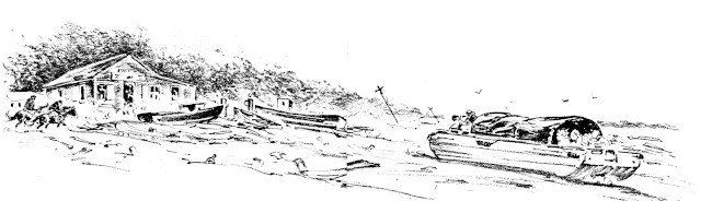 img24.jpg
