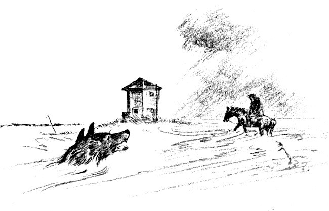 img27.jpg