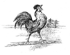 img3.jpg