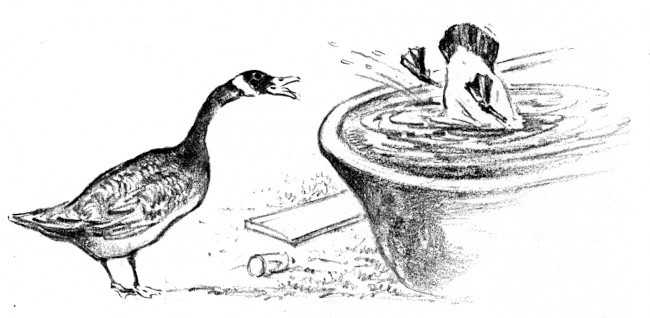 img9.jpg