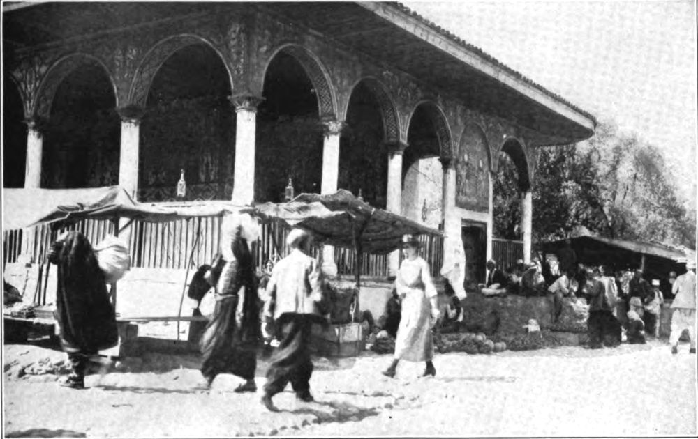 img15.jpg