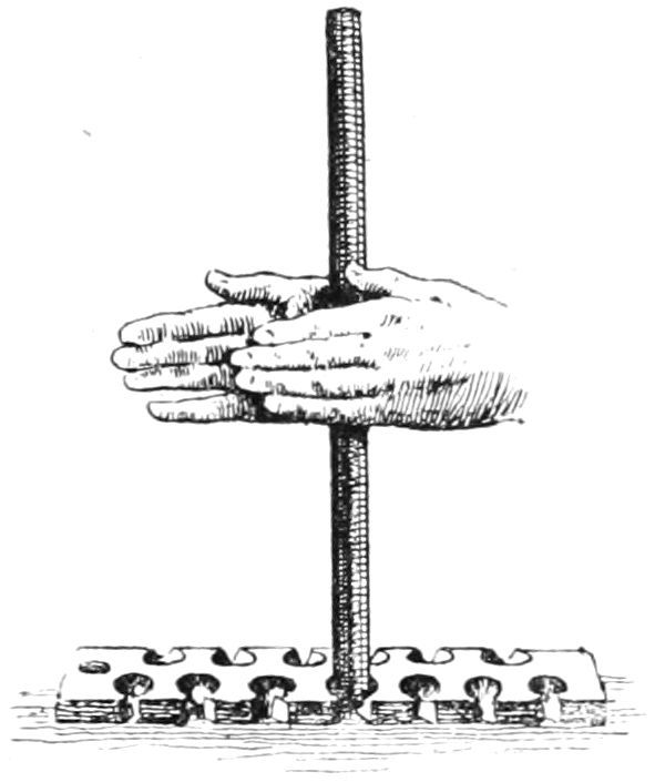 img12.jpg
