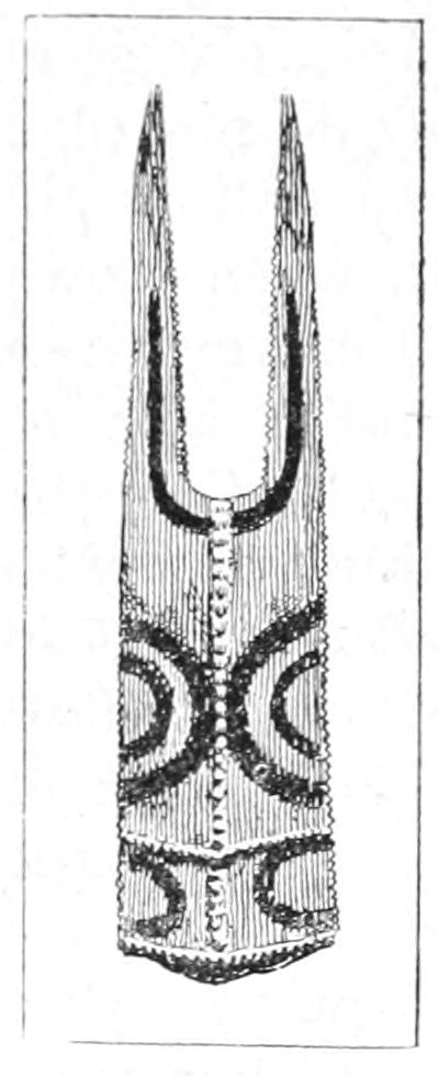 img13.jpg