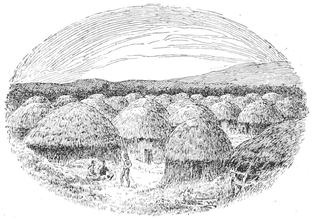 img5.jpg