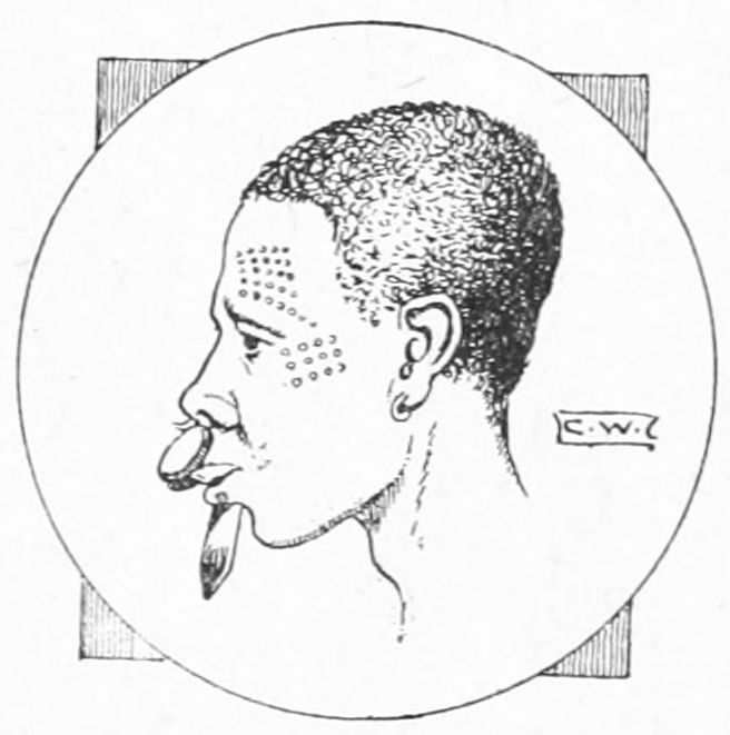 img6.jpg
