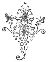 img9.jpg