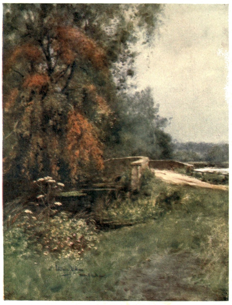 img6.jpg
