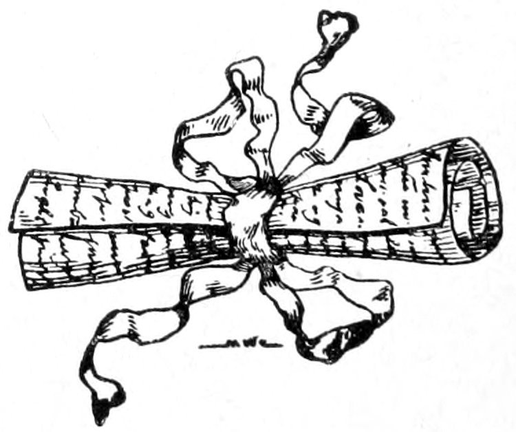 img14.jpg