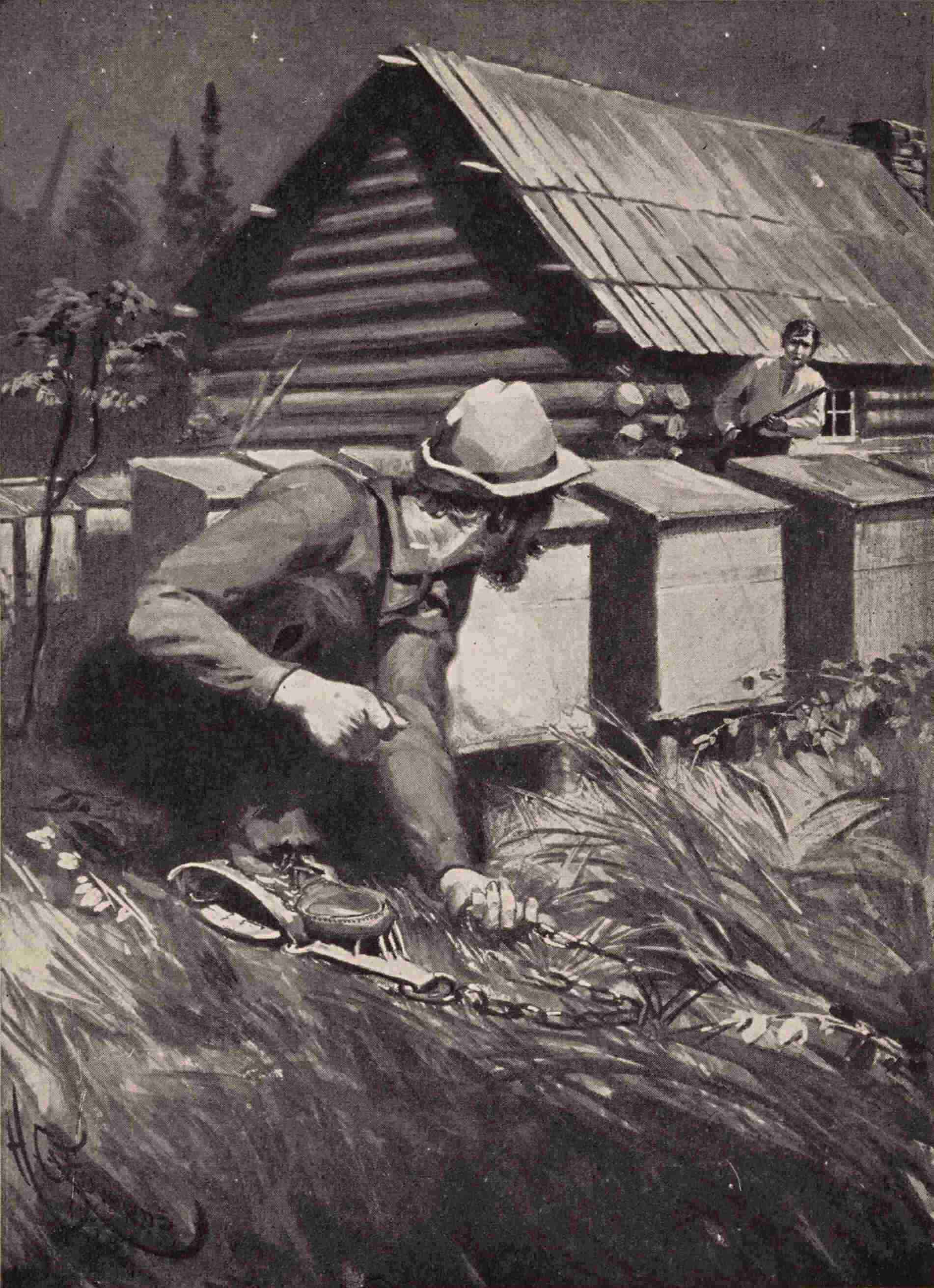 img4.jpg